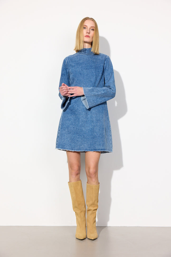 Nala Denim Dress
