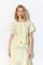 Cream Yellow Cream Yellow