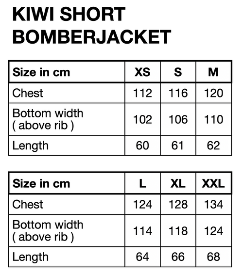 HUNKØN Kiwi Bomberjacket Jackets Dream Fairground Art Print